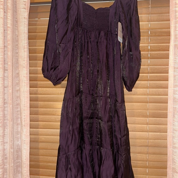 Shimmery Plum Maxi Dress (Never Worn) - Picture 2 of 4